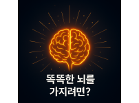 똑똑한 뇌를 가지려면?